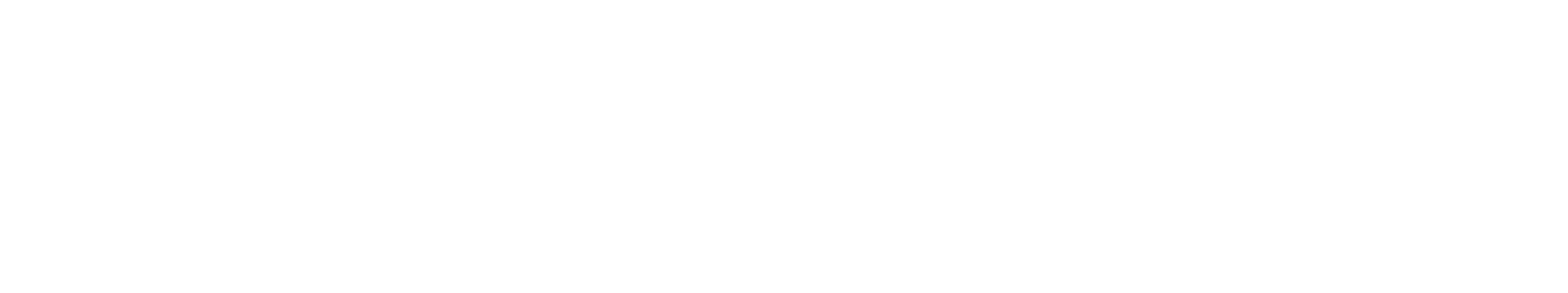 The Highflyer Report